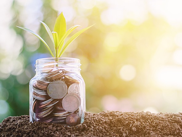 Plant growing from money jar